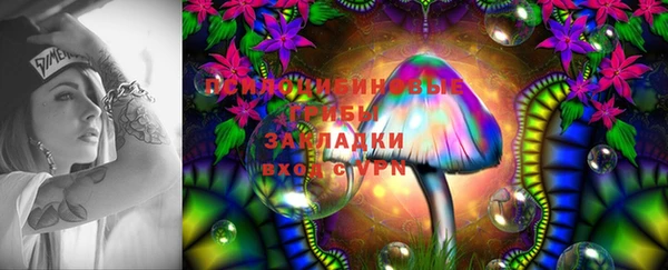 Альфа ПВП Алексин