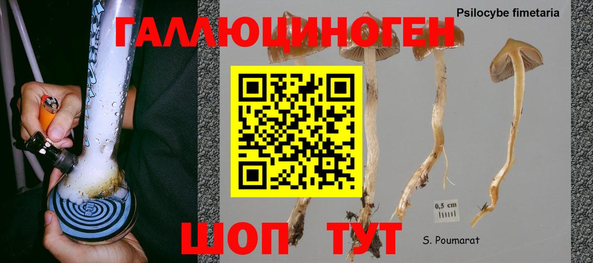 где можно купить наркотик  Псилоцибиновые грибы Psilocybine cubensis  Псилоцибиновые грибы Psilocybine cubensis  Вход с VPN  Апатиты 